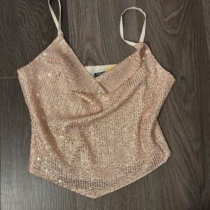 Elegant Sequin Blush Cami Top
